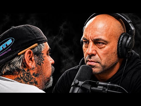 Looking at the pandas are fake conspiracy ￼!! ASTROHIGH Reacts !!#jre 