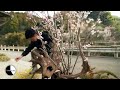 【公式】「安田一平の1minute」ミライへの１minute｜テレビ西日本