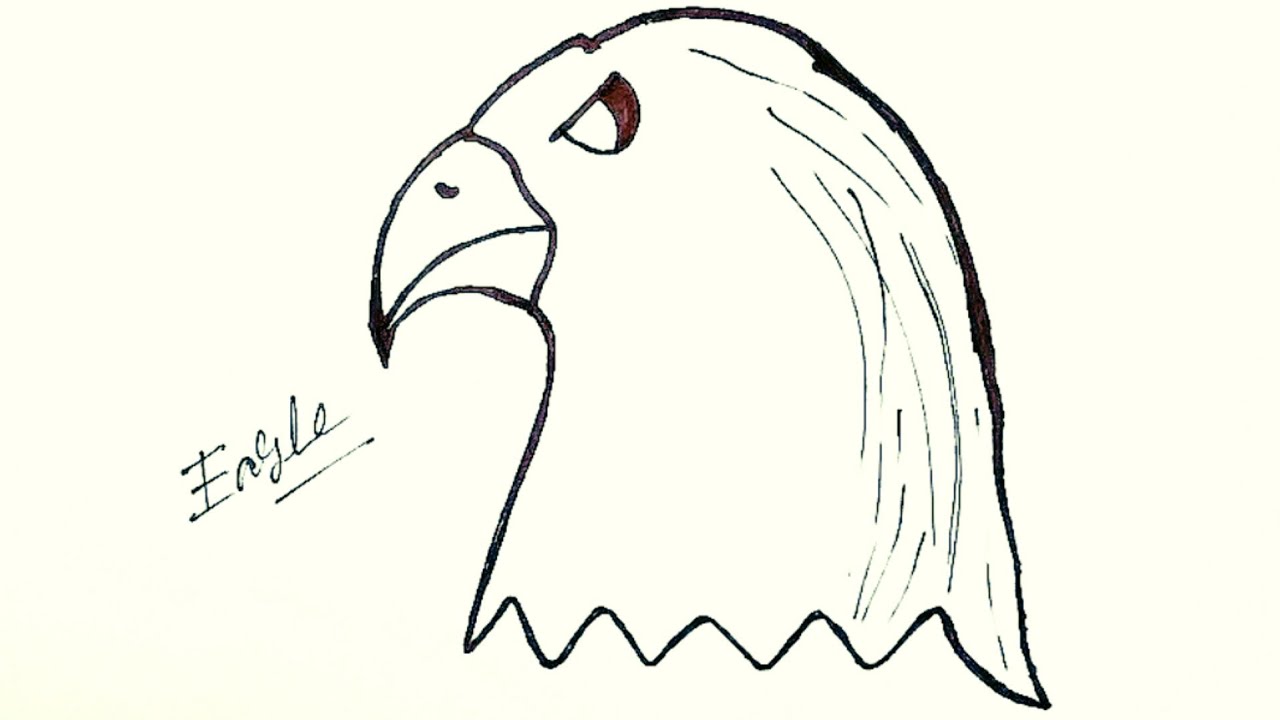 How to draw Eagle || Eagle ka chitra