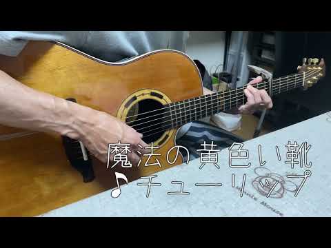 魔法の黄色い靴/財津和夫 TULIPチューリップ/懐かしいフォークソングを主人のギターで歌ってみました！cover/歌詞ギターコード付き