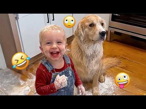 OVERDRAMATIC Dogs...Who Deserve An Oscar 😁🐶 |  NEW Funny Dog Videos #23