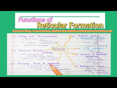 Functions Of Reticular Formation (how RF Associates the control of Muscles, Respiration etc).