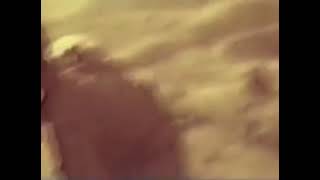 Eliyar Eliyev Başımın Tacıdı Eliyar Menim