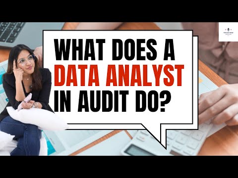 What Does a Data Analyst Actually Do? l Big 4 l In Audit