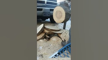 cs7310 echo first 2 cuts after porting