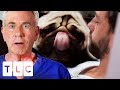 Doctor Attempting to Save Pianist’s Finger Swallowed By A Pug  | Untold Stories of the E.R.