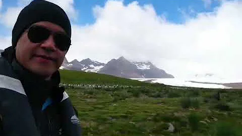 (Part 2) Rookery of Penguins, Salisbury Plain, South Georgia