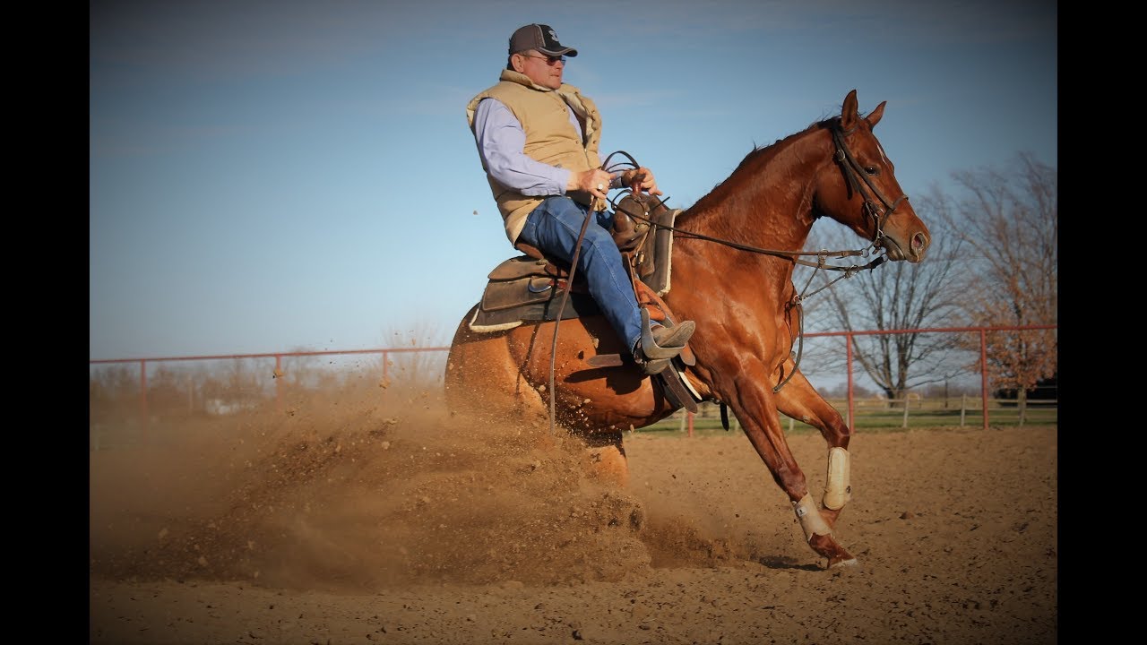 Colonels special Nite Jim Dudley Quarter Horses YouTube