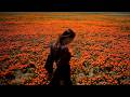 Survive Allergy Season 2026 Expert Tips To Beat Pollen Feel Better Fast 