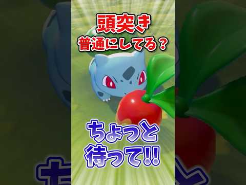 短押し頭突きで木の実を回収してる人、ちょっと待ってください！！ #ぽこあポケモン  #ぽこポケ