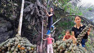 single mother: Harvesting Dac seeds in the forest and bringing them to the market to sell