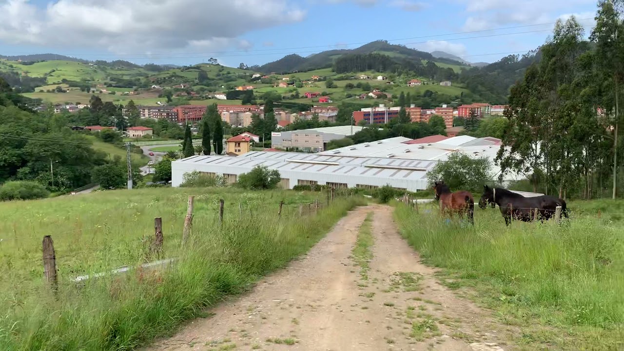 Yeguas Asturias Yeguas Hispano bretonas Cheval bretón 2021