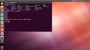 How to Read a File Line by Line in Bash