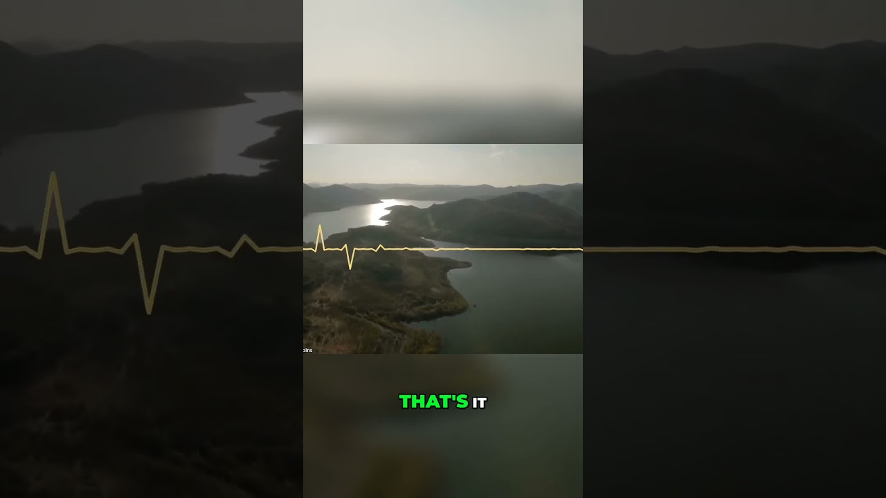 How to Align Your Life and Find Energy and Excitement   Personal Growth and Development