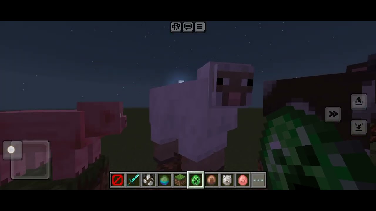 Minecraft El pulcino pio