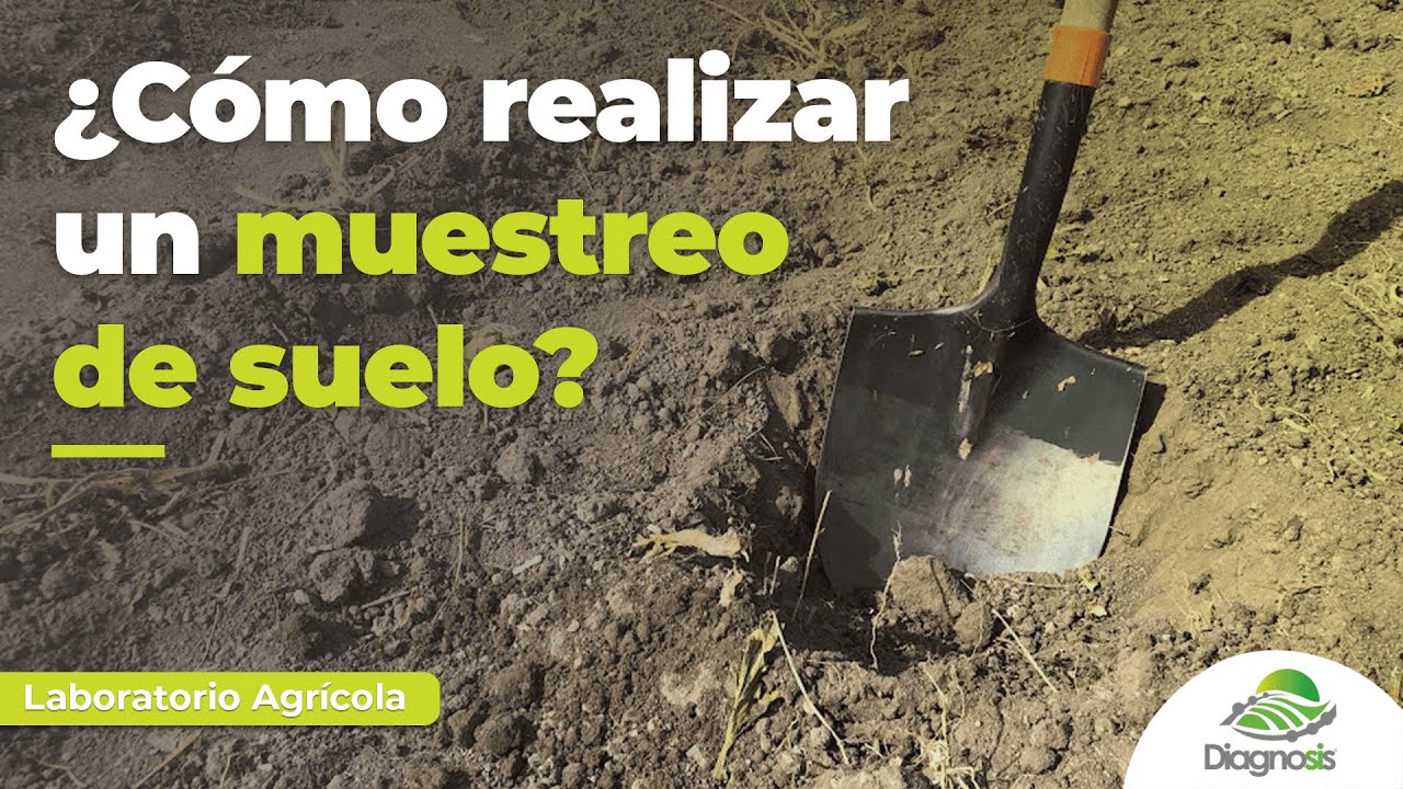 ️¿CÓMO REALIZAR UN CORRECTO MUESTREO DE SUELOS? - YouTube