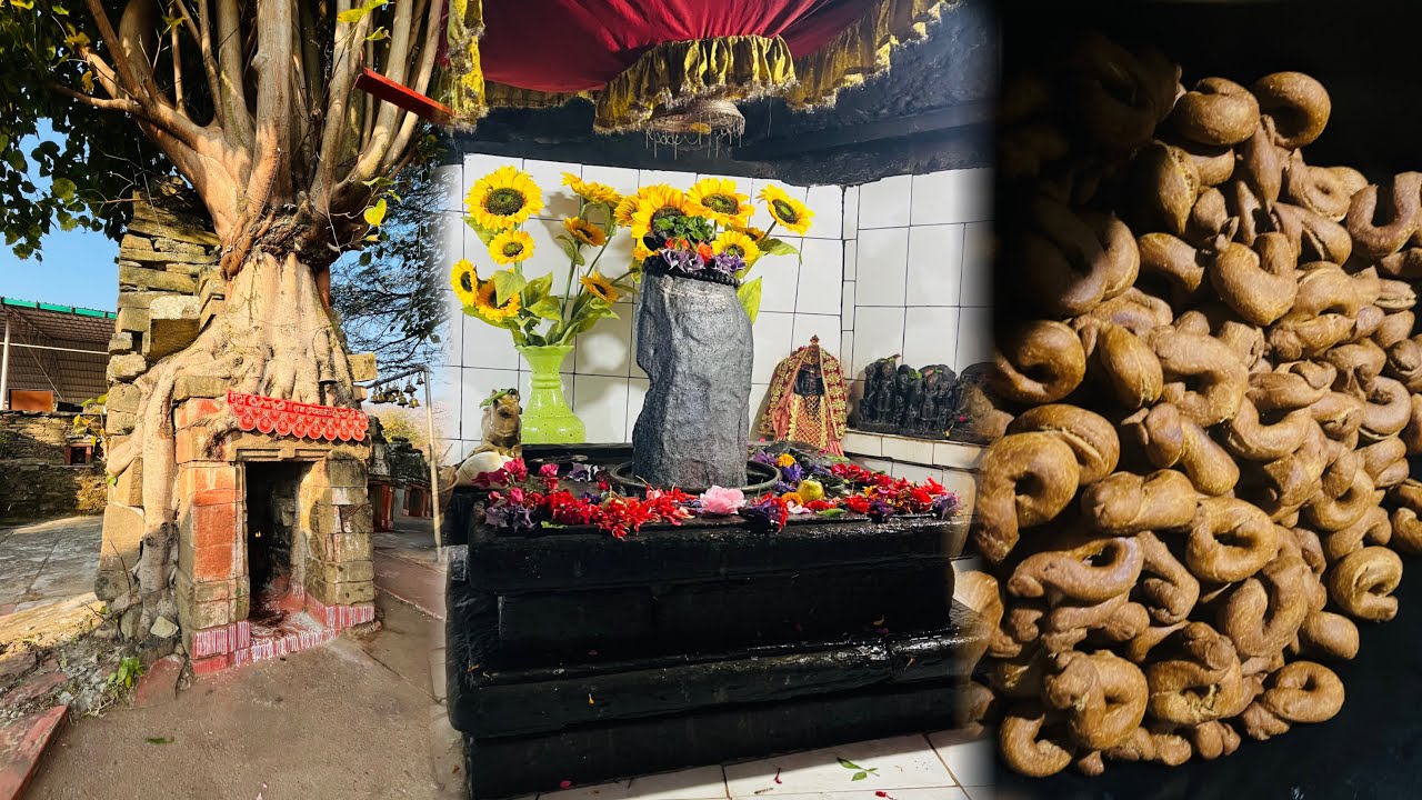 Pahad M Banai Ghughuti ❤️