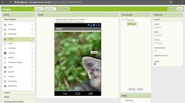Images in App Inventor