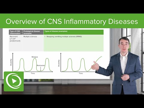 Overview of CNS