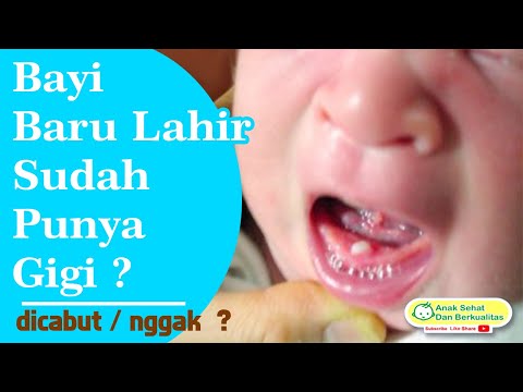 Video: Adakah bayi mempunyai gigi?