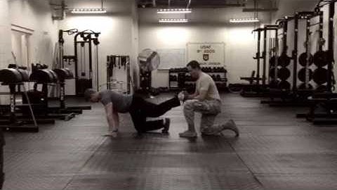 Partner Quadruped 1 Leg Curl w/ Hip Extension