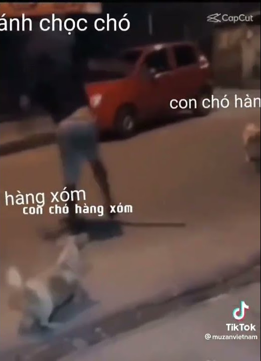thánh trọc chó - YouTube