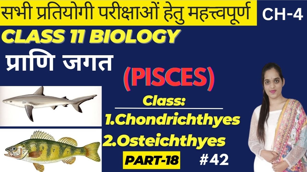 PISCES Classification Class 11 l Chondrichthyes and Osteichthyes Gen ...