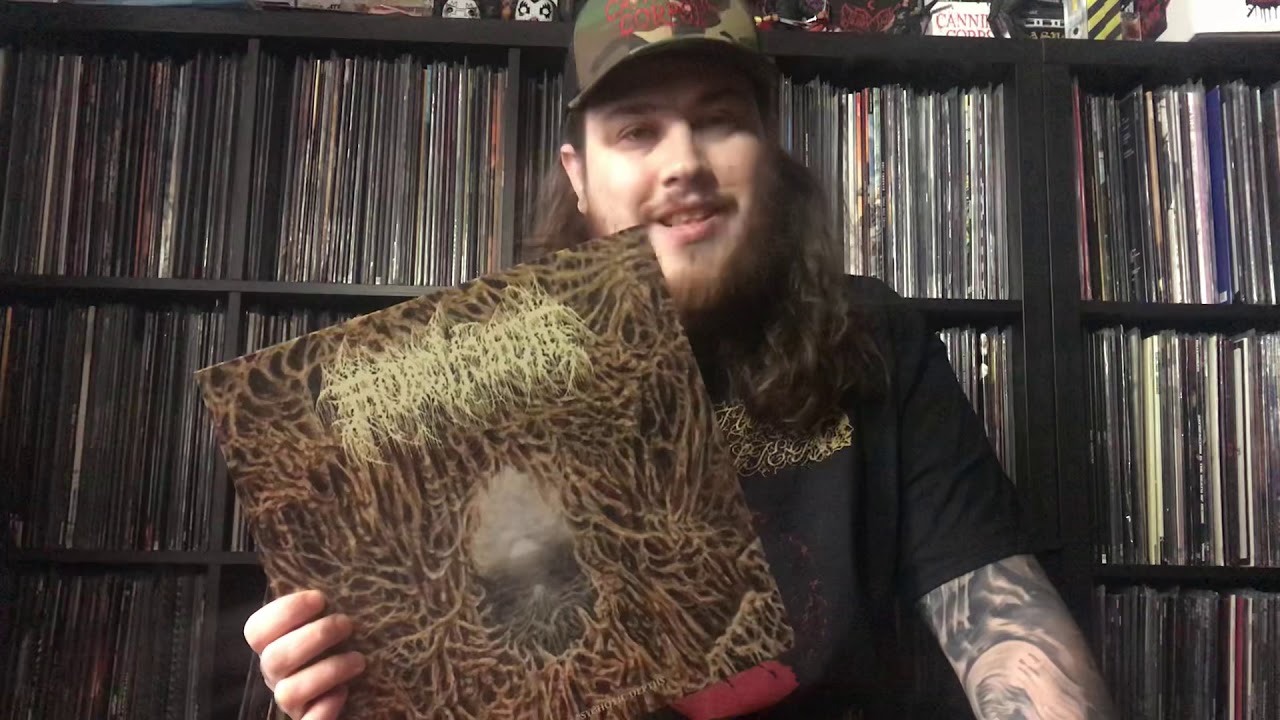 Top Albums of 2019 Part 2: 10-1