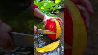 Bakahh Fruity  fruit bloxfurit satisfying buahbuahansegar food makanbuah farming buah