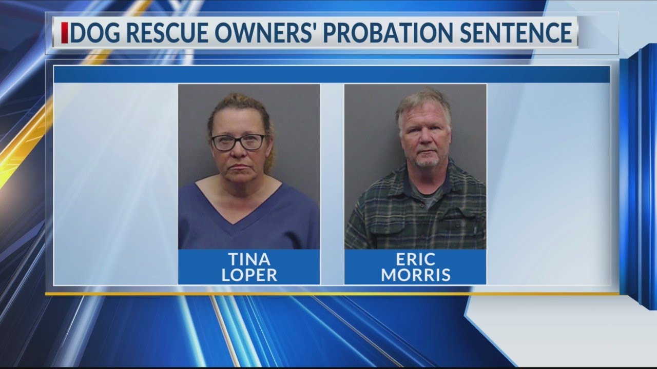 Winona dog rescue owners sentenced to probation on animal cruelty