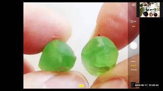Online Gem Fundamental Workshop