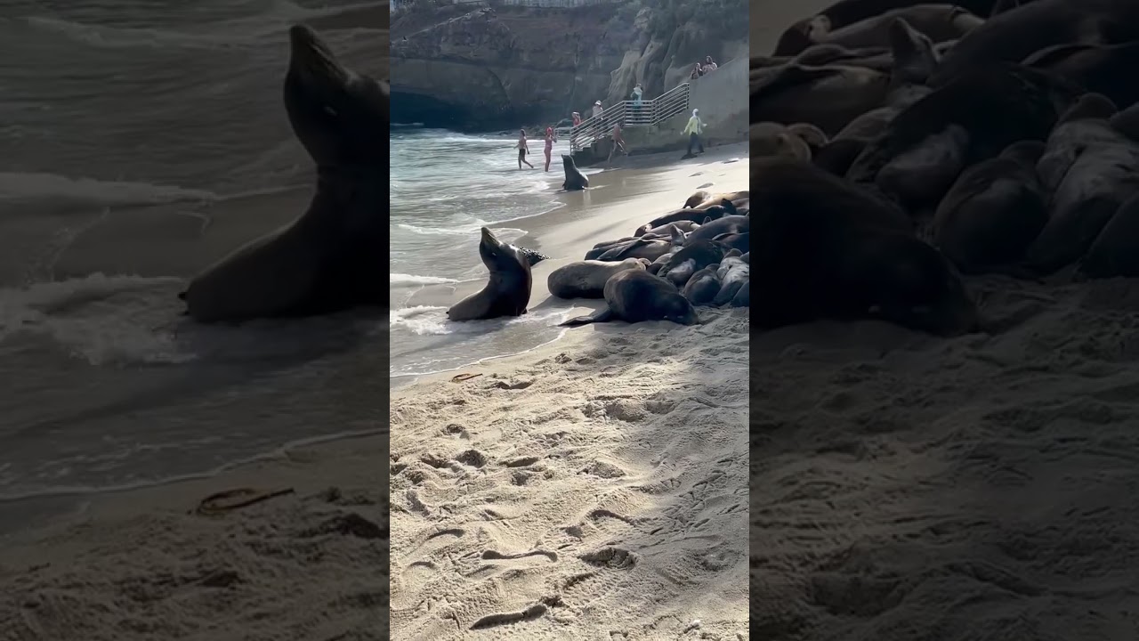 Ocean side in Cali