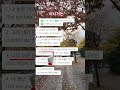 아니거든 #learnkorean #korean #한국어공부 #한국어 #studykorean #koreanlanguage