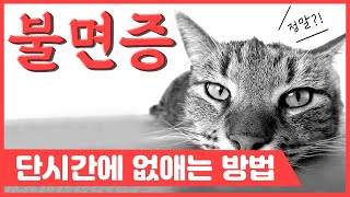 불면증에는 이것이 최고다? Feat 숙면의 법칙