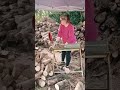 Chainsaw Still firewood process
