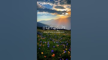 فِي جَنَّةٍ عَالِيَةٍ ll #عبدالرحمن_مسعد ll سورة الغاشية 🌿