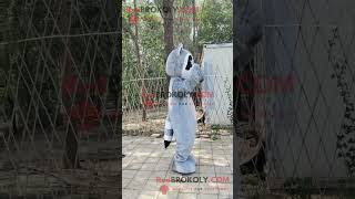 Grey Raccoon Mascot Costume: Masked Mischief & Furry Fun