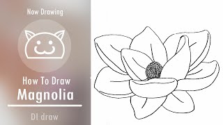 Magnolia Flower Drawing Step By Step