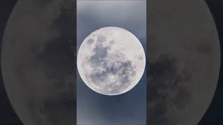Surah Al-Muzammil | Beautiful Ayah 1-9 recitation by Qari Mansour Al-Salemi | Quran Tilawat | #viral
