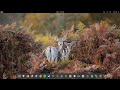 Total Desktop Reformat to Manjaro 23