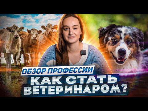 Профессия ветеринар 🐈 : где учиться, сколько можно зарабатывать, ПЛЮСЫ и МИНУСЫ профессии