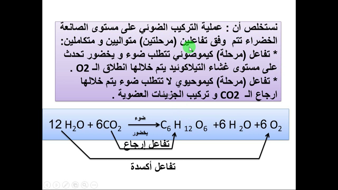 العرض الرابع من وحدة التركيب الضوئي سيرورة عملية التركيب الضوئي