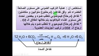العرض الرابع من وحدة التركيب الضوئي سيرورة عملية التركيب الضوئي