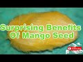 UNCOMMON HEALTH BENEFITS : Surprising Benefits Of Mango Seed.
