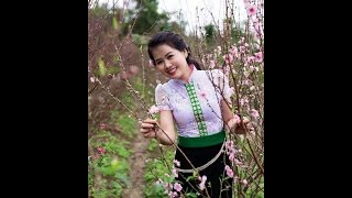 tai song in nghean vietnam