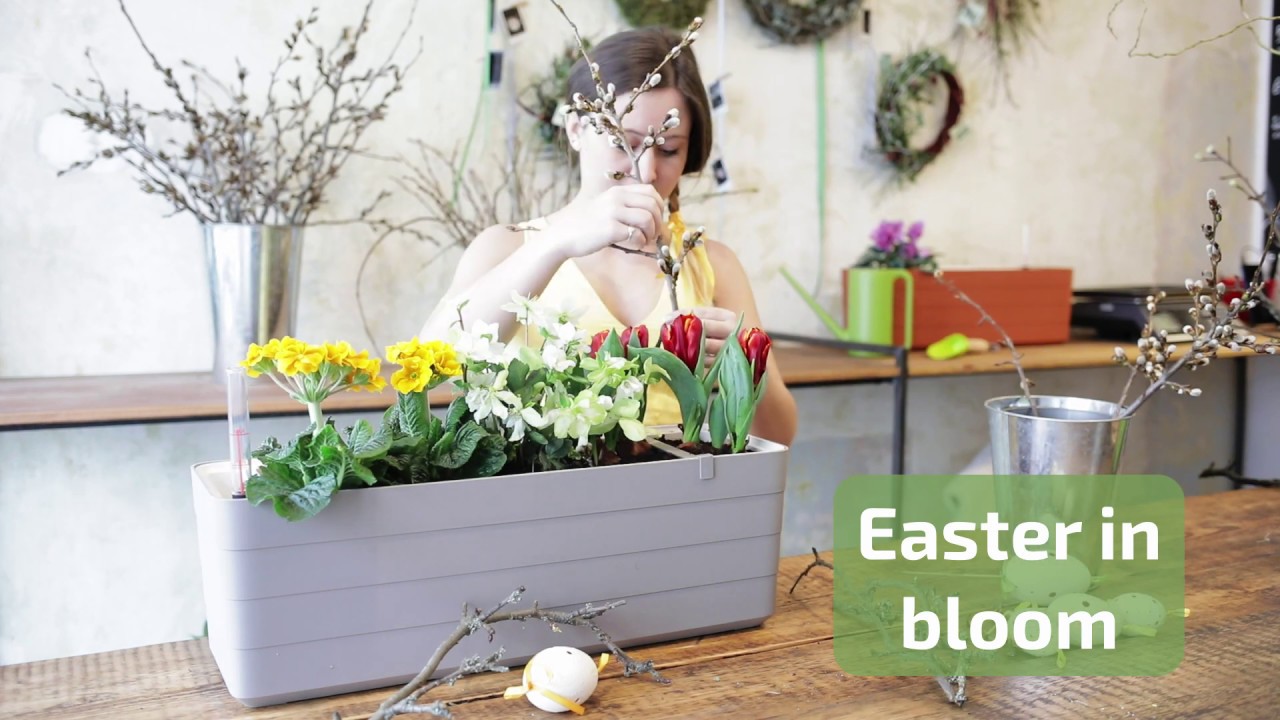 Easter planting YouTube