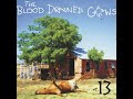Blood drained cows  2003  13 full album