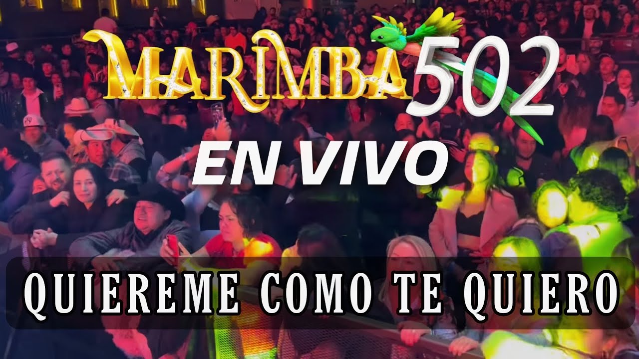 MARIMBA 502 QUIEREME COMO TE QUIERO EN VIVO YouTube
