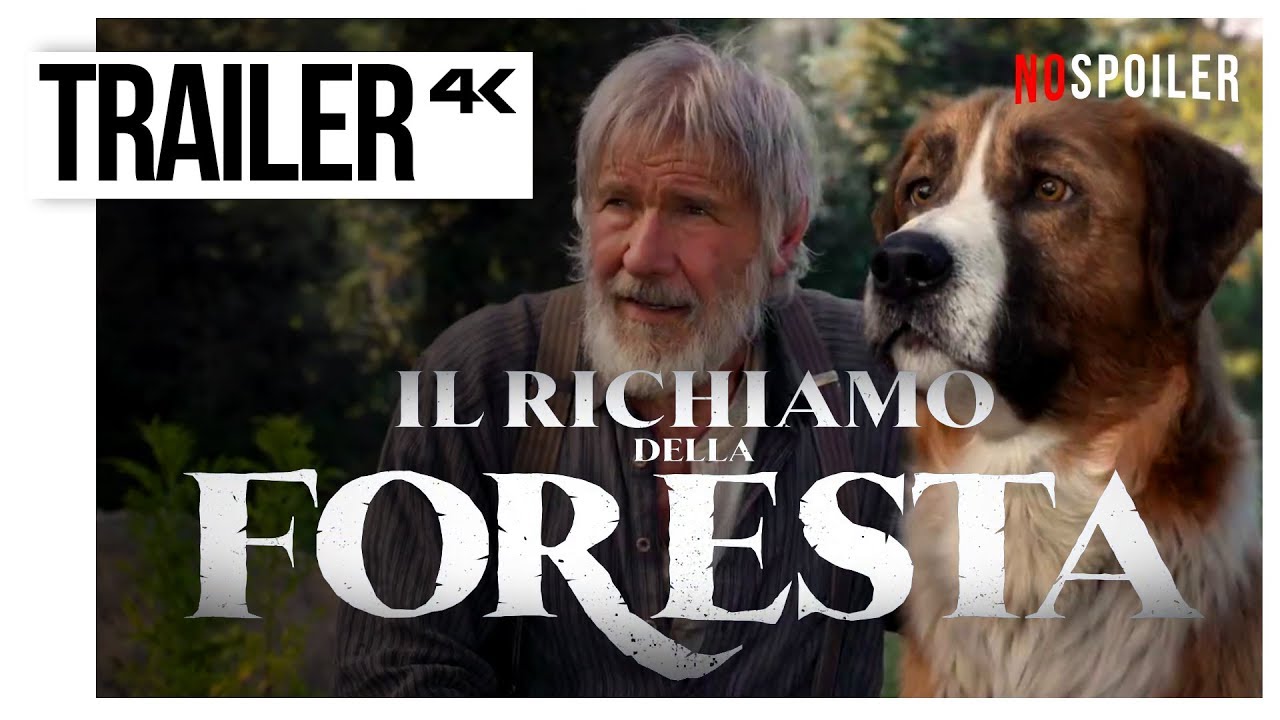 guardare il richiamo della foresta