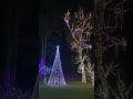 Christmas Light Tour 🎄 #shorts #christmas #fyp #light #magic #viral #tour #decoration #fun #holiday